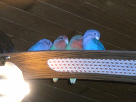 zijn we niet prachtig